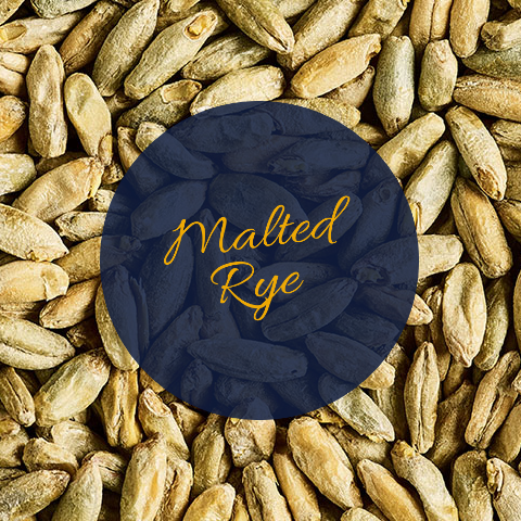 Malted Golden Rye Simpsons Malted Rye - Salyklas alui – Alus live - Aludaris.lt