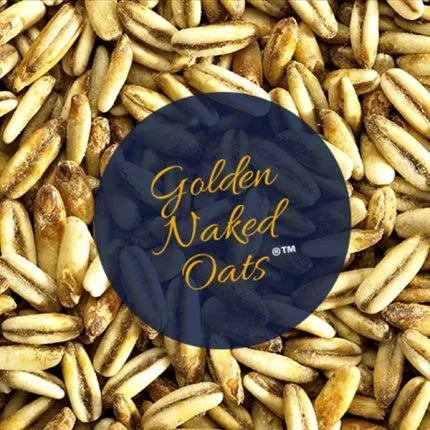 GOLDEN NAKED OATS salyklas