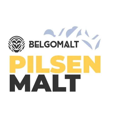 Pilsen salyklas